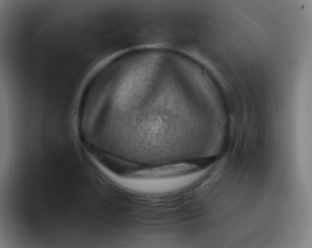 X0000093231319200710101356