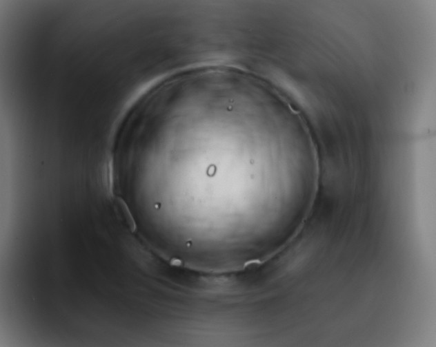 X0000093231320200710101356