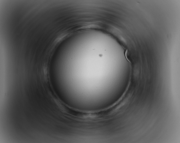 X0000093231321200710101356