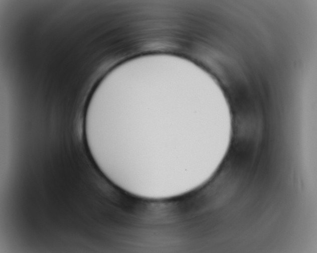 X0000093231322200710101356