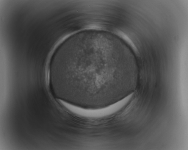 X0000093231323200710101356