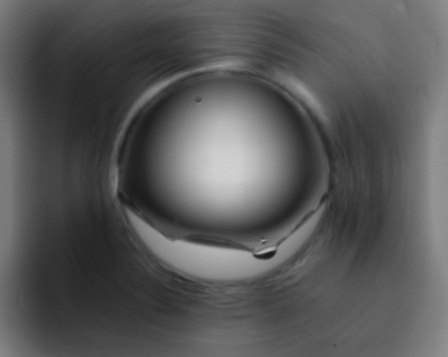 X0000093231324200710101356