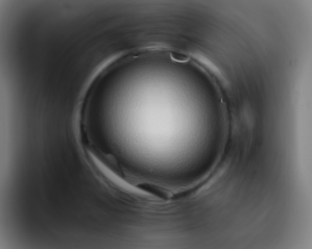 X0000093231325200710101356