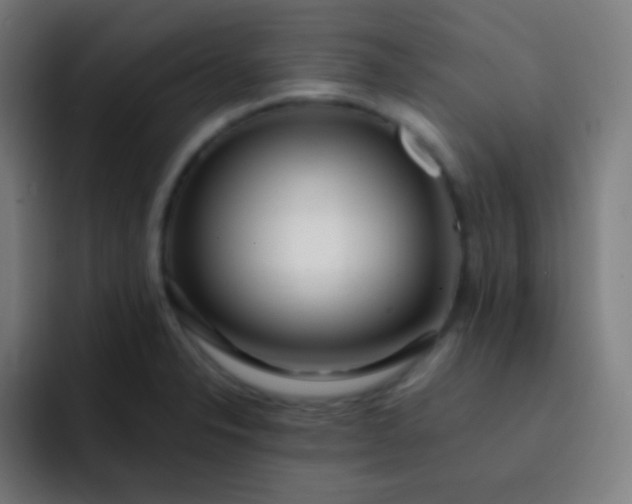 X0000093231326200710101356