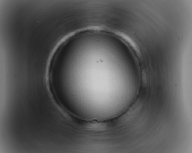 X0000093231327200710101356