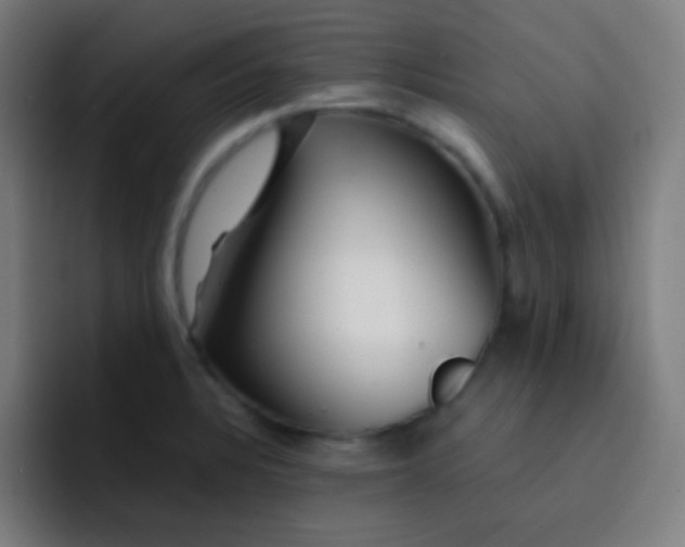 X0000093231328200710101356