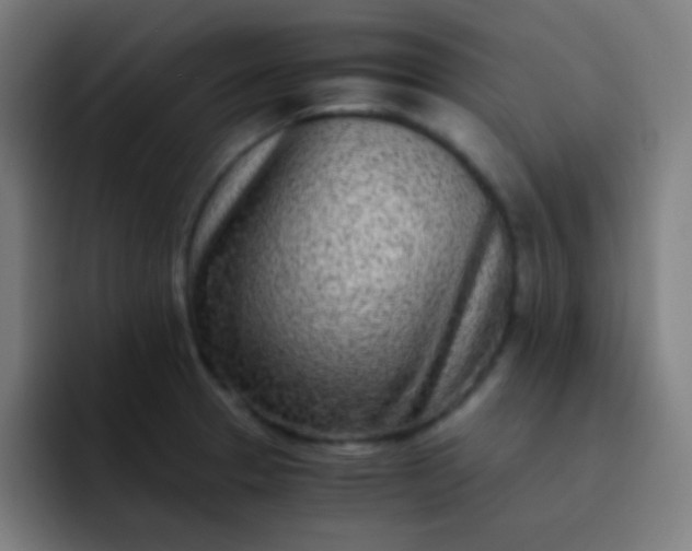 X0000093231329200710101356