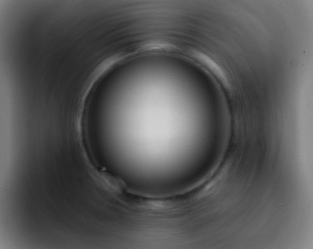 X0000093231330200710101356