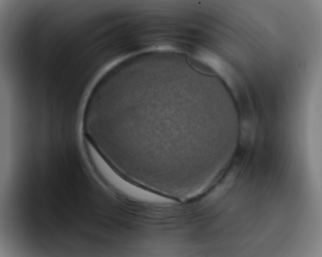 X0000093231331200710101356