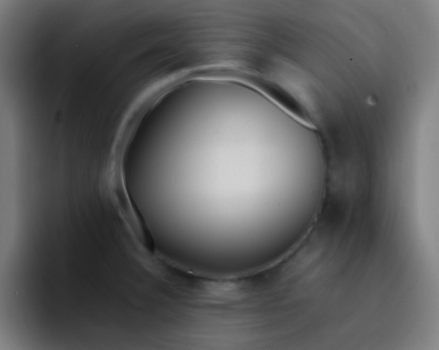 X0000093231332200710101357