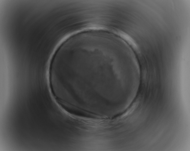 X0000093231334200710101357