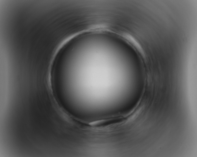 X0000093231336200710101357