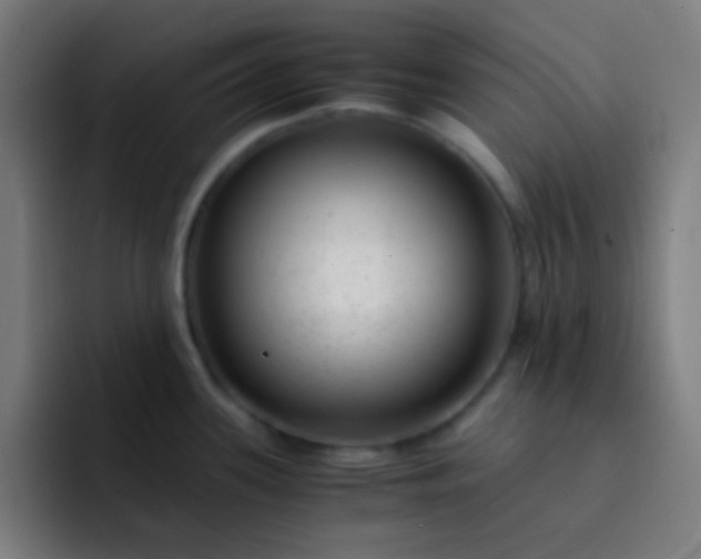 X0000093231339200710101357