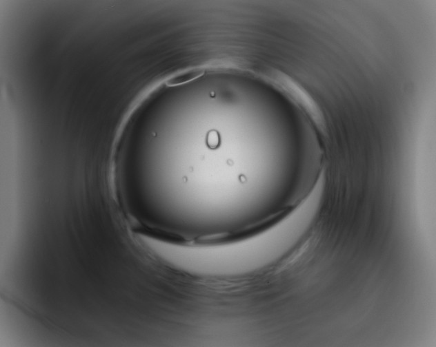 X0000093231340200710101357