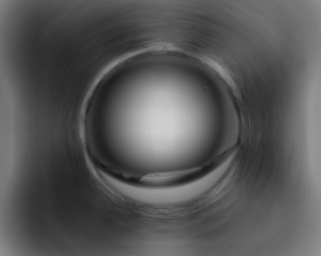 X0000093231342200710101357