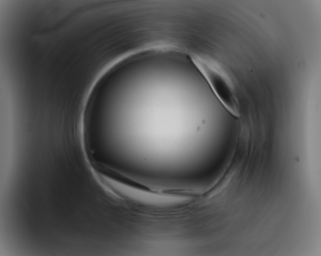 X0000093231343200710101357