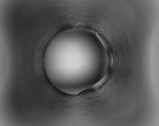 X0000093231345200710101356