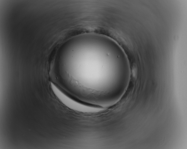 X0000093231347200710101356