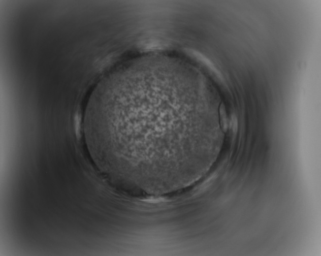 X0000093231348200710101356