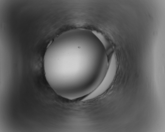 X0000093231349200710101356