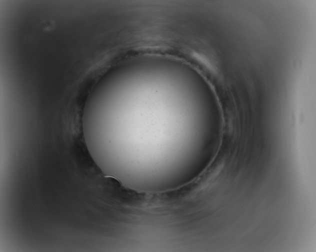 X0000093231350200710101356