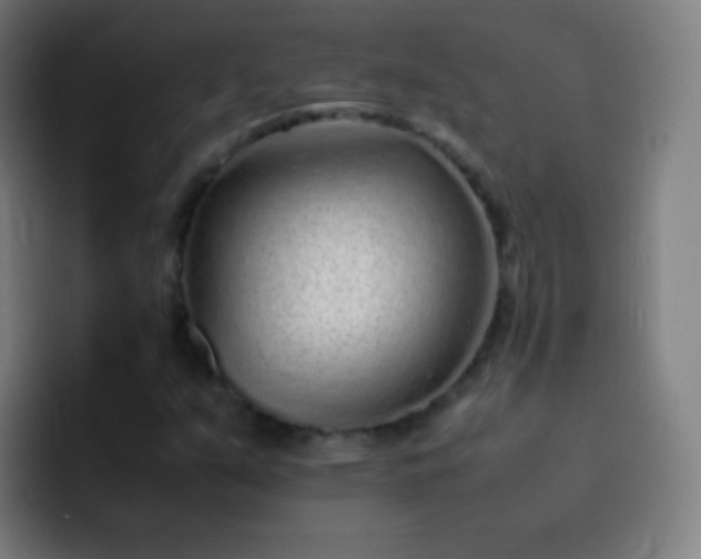 X0000093231351200710101356