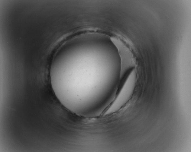 X0000093231352200710101356