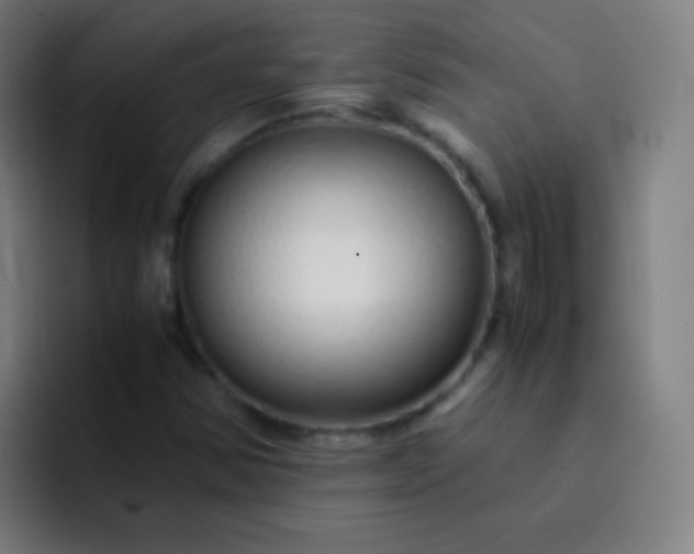 X0000093231354200710101356