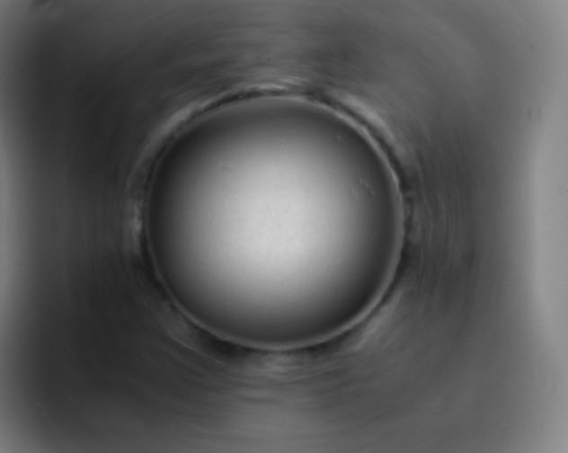 X0000093231355200710101356