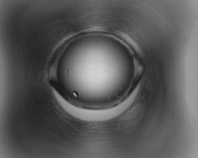 X0000093231356200710101356