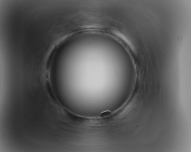 X0000093231357200710101356