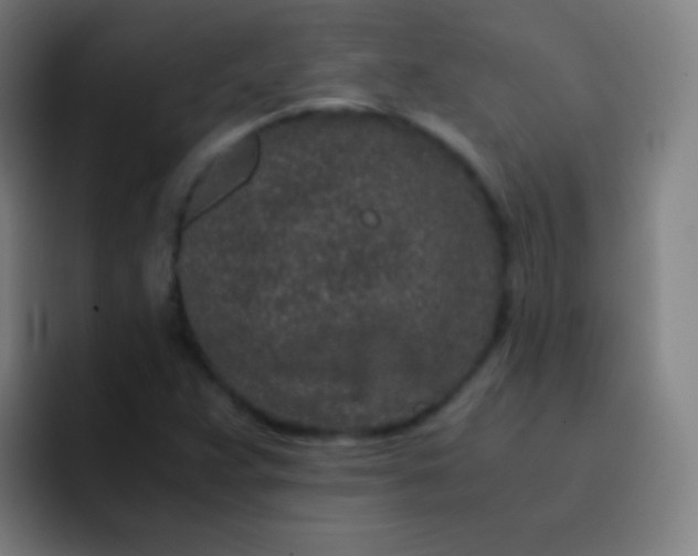 X0000093231359200710101356