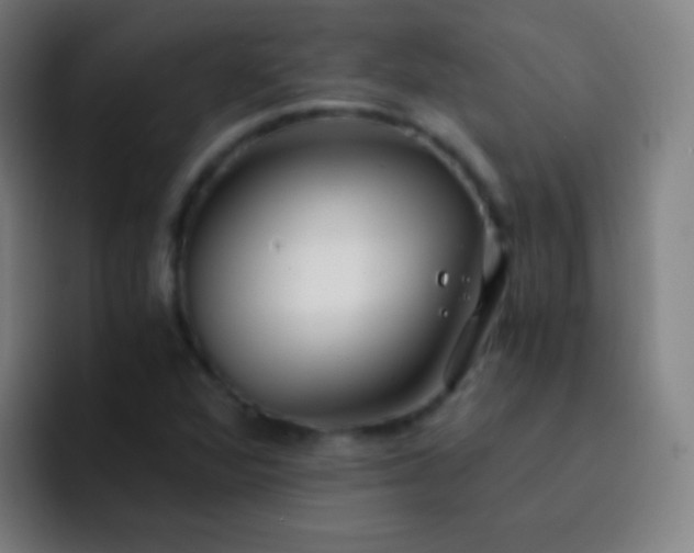 X0000093231360200710101356