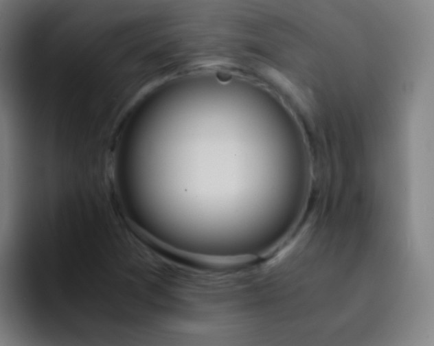 X0000093231361200710101356