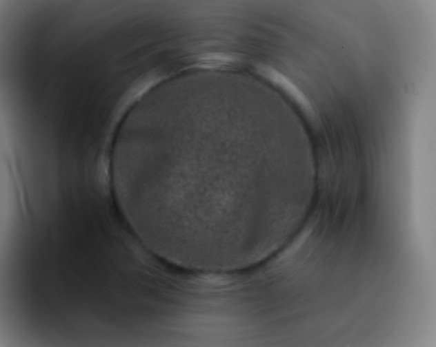 X0000093231362200710101356