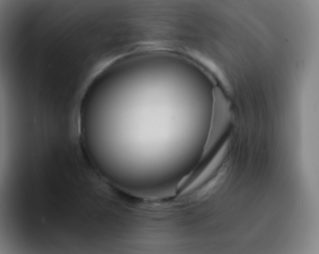 X0000093231365200710101356