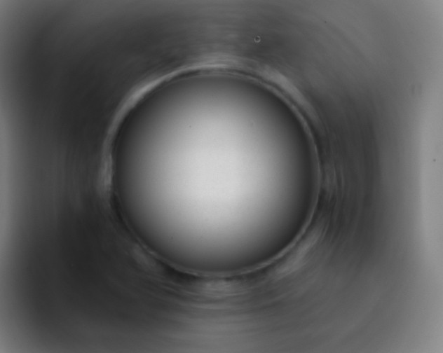 X0000093231366200710101356