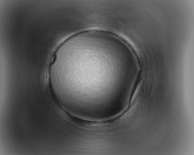 X0000093231367200710101356