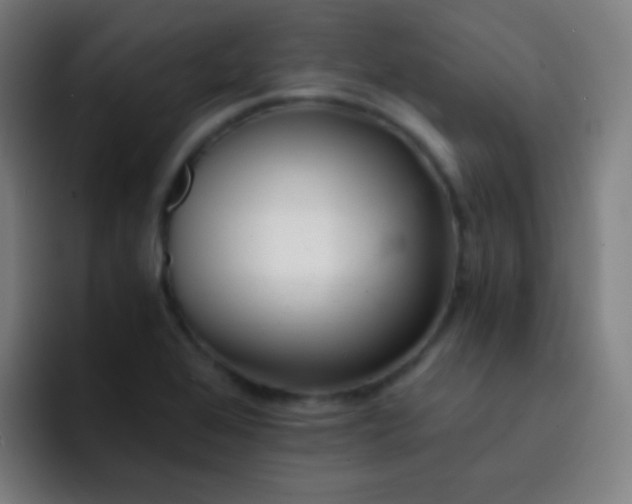 X0000093231368200710101356