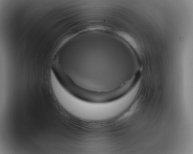 X0000093231369200710101356