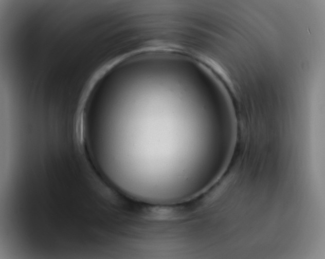 X0000093231371200710101356