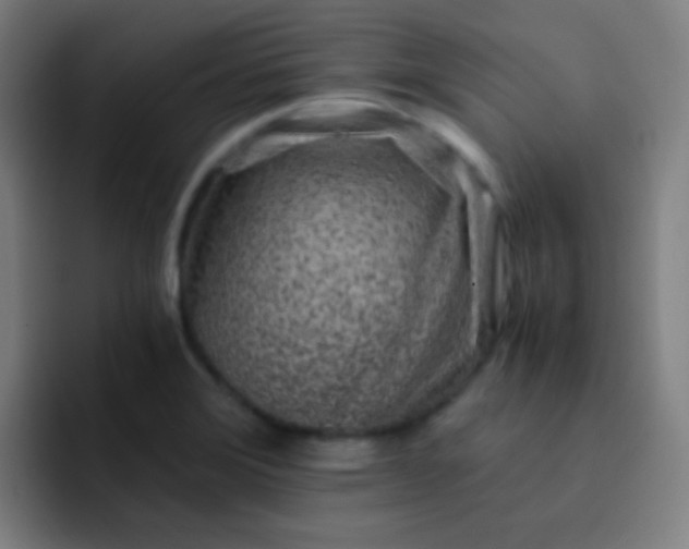 X0000093231372200710101356