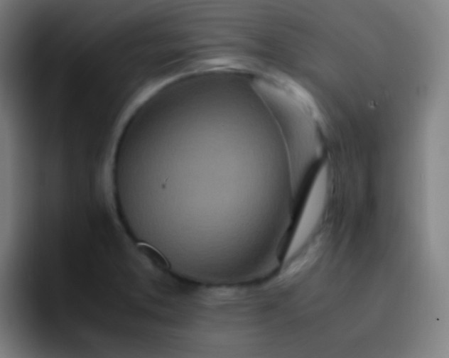 X0000093231373200710101356