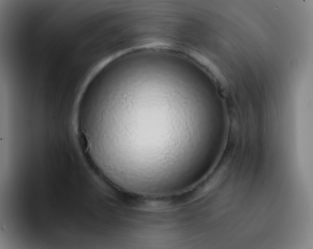 X0000093231375200710101356