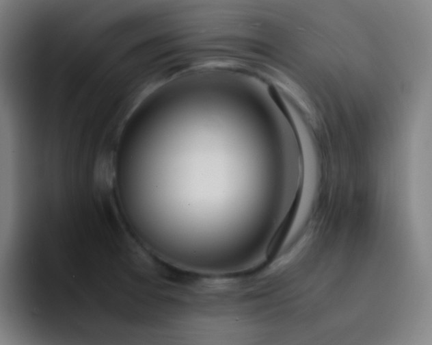 X0000093231377200710101356