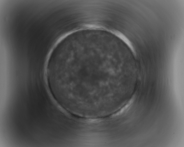 X0000093231381200710101356