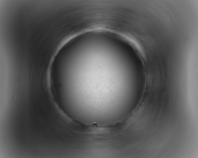 X0000093231382200710101356