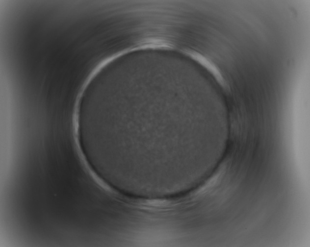 X0000093231383200710101356