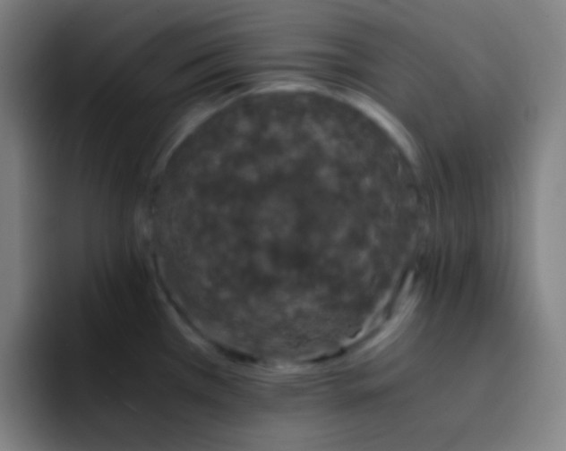 X0000093231385200710101356