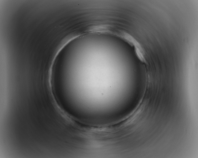 X0000093231386200710101356